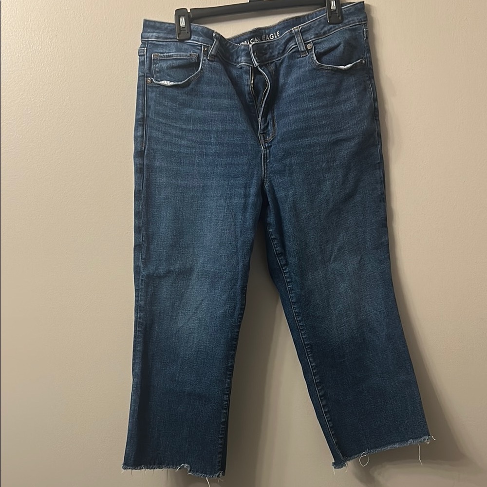 American Eagle Blue Flare Wide Leg Jeans